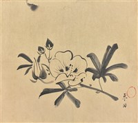 藏品(花及花苞)的圖片