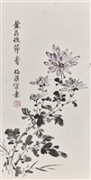 藏品(菊花)的圖片