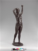 藏品(陽光)的圖片