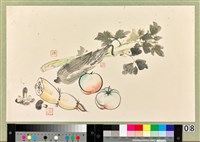 藏品(蔬菜圖)的圖片
