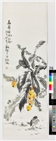 藏品(枇杷鳥雀)的圖片
