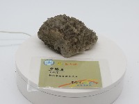 館藏編號:GS20120010004的藏品圖