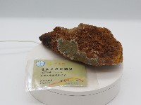 館藏編號:GS20120010006的藏品圖