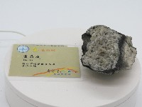 館藏編號:GS20120010008的藏品圖