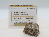 藏品(重晶石、金礦)的圖片