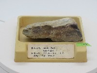 藏品(塊狀重晶石)的圖片