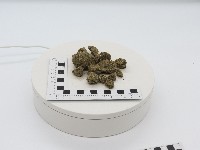 藏品(火山碎屑岩)的圖片