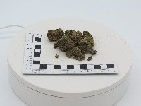 藏品(火山碎屑岩)的圖片