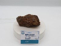 藏品(鐵質石英砂岩)的圖片