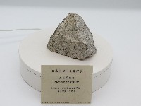 藏品(二長花崗岩)的圖片