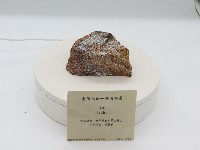 藏品(片岩)的圖片