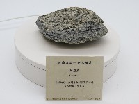 藏品(片麻岩)的圖片