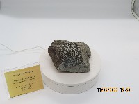 藏品(含輝長石捕獲岩的角閃石安山岩)的圖片