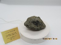 藏品(含輝長岩捕獲岩的角閃石安山岩)的圖片