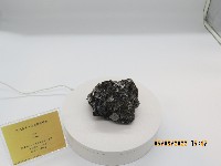 藏品(浮石)的圖片