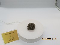 藏品(浮石)的圖片