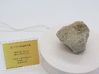 藏品(黑雲母─角閃石安山岩)的圖片