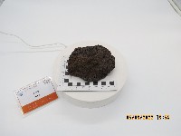 藏品(火山彈)的圖片