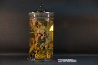 藏品(野鴿解剖+野鴿頭+蛇的解剖)的圖片