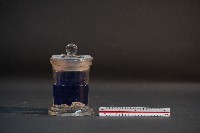 藏品(臺灣穿山甲的胎兒在母體內發育過程)的圖片