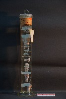 藏品(犬的咽喉)的圖片