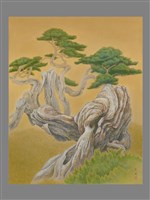藏品(玉山圓柏-虬曲)的圖片