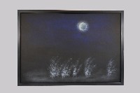 藏品(醉良宵)的圖片