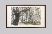 藏品(斯土斯民斯情)的圖片