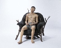 藏品(共棲附生)的圖片