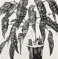 藏品(星葉海棠)的圖片