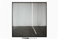 藏品(返影入深林#9)的圖片