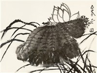 藏品(荷花)的圖片