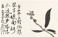 藏品(枇杷)的圖片