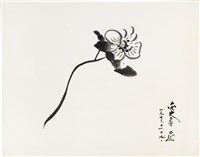 藏品(芙蓉)的圖片