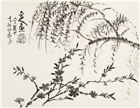 藏品(柳)的圖片