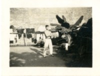 藏品(涂炳榔個人照)的圖片