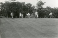 藏品(團體照)的圖片