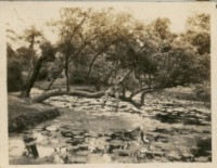 藏品(個人與親友相片)的圖片