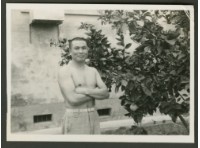 藏品(個人照)的圖片