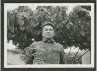 藏品(個人照)的圖片