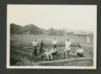 藏品(團體照)的圖片