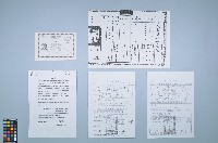 藏品(曹開相關資料（資料袋10）)的圖片