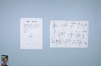 藏品(曹開相關文件（資料袋16）)的圖片