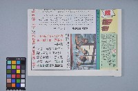 藏品(魏廷朝競選立委文宣戰報)的圖片