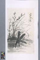 藏品(劉辰旦創作之《蘭萱圖》)的圖片