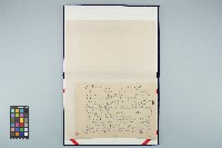 藏品(黃溫恭寄楊銀杏遺書)的圖片