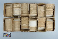 藏品(編輯字典用之字卡)的圖片