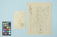 藏品(劉耀廷寄給施月霞的書信（第二信）（1953年4月27日）)的圖片