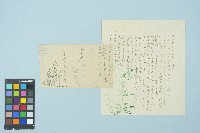 藏品(施月霞寄給劉耀廷的書信（第六信）（1953年6月3日）)的圖片