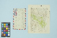 藏品(施月霞寄給劉耀廷的書信（第十三信）（1953年7月31日）)的圖片